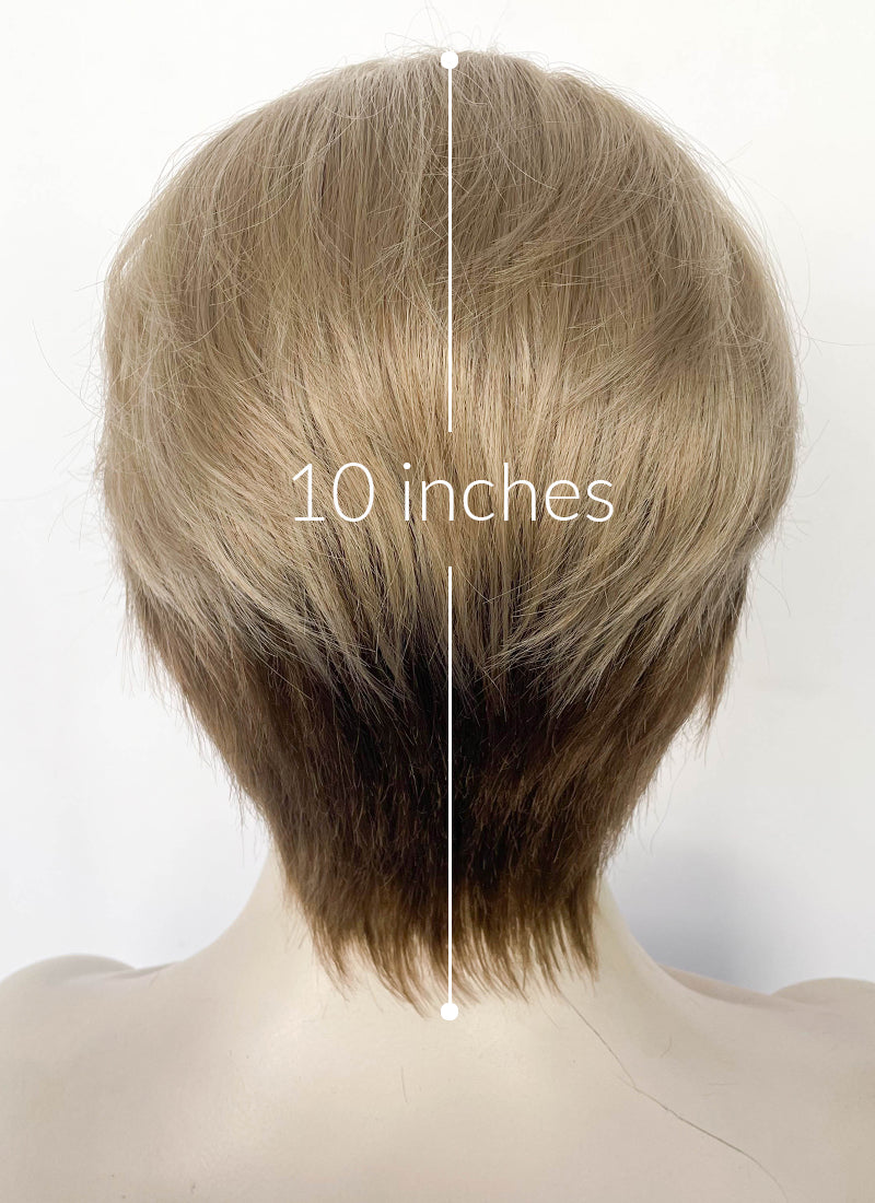 Blonde Brown Peekaboo Straight Lace Front Synthetic Men's Wig LF6108