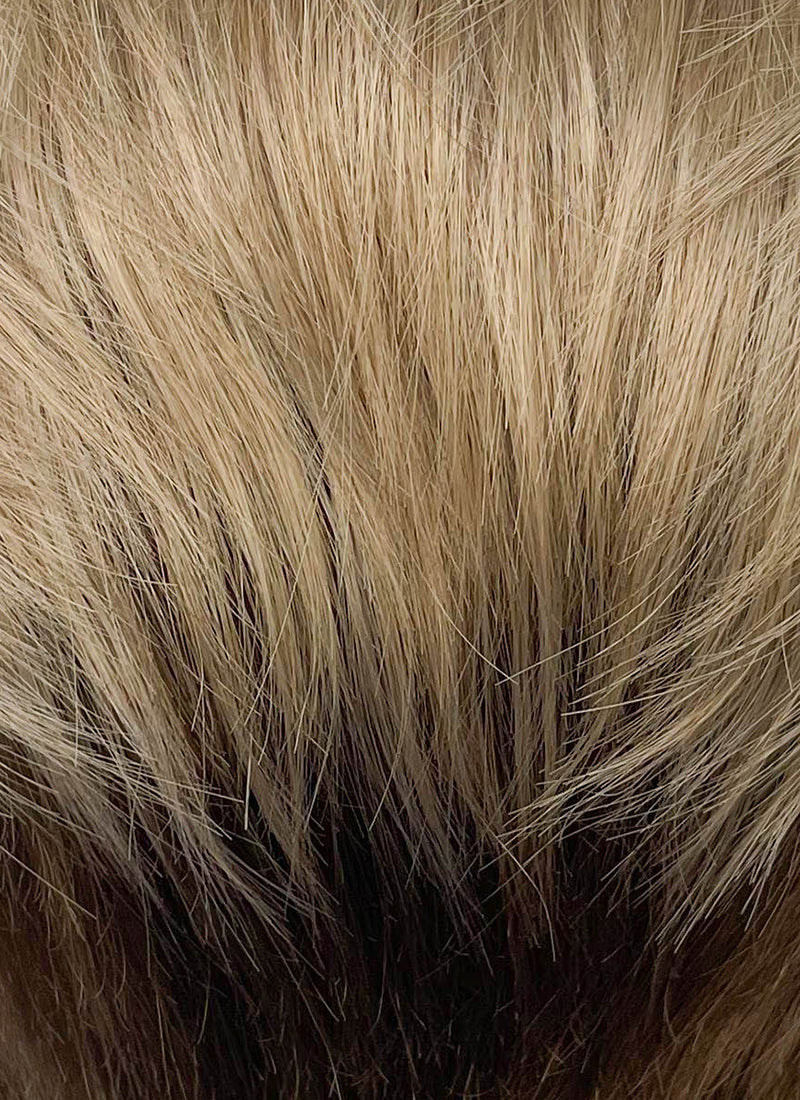 Blonde Brown Peekaboo Straight Lace Front Synthetic Men's Wig LF6108