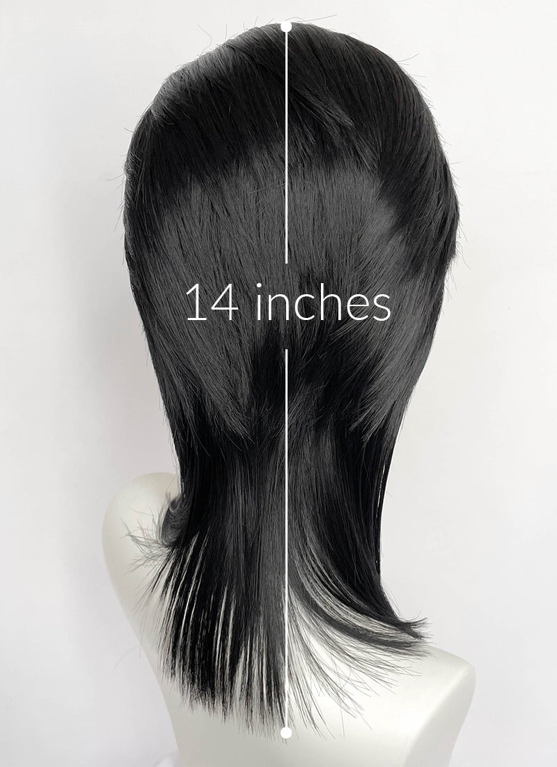 Black With Silver White Straight Lace Front Synthetic Wig LF8041