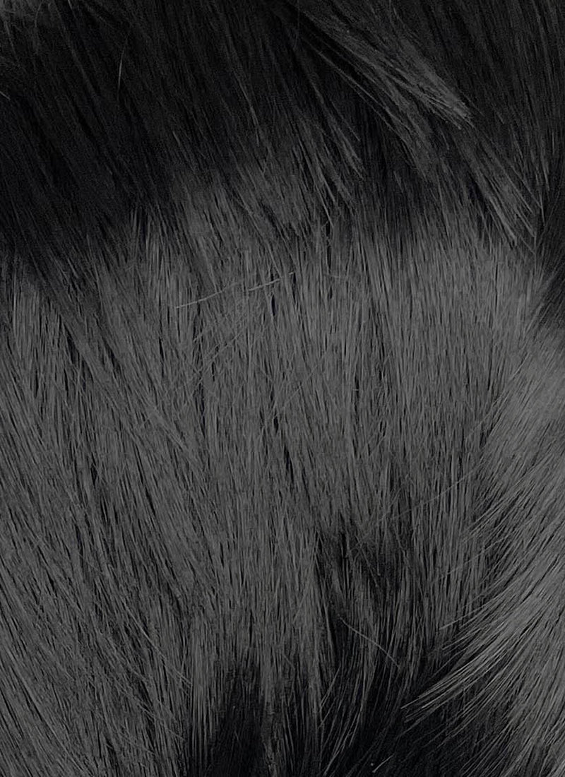 Black With Silver White Straight Lace Front Synthetic Wig LF8041