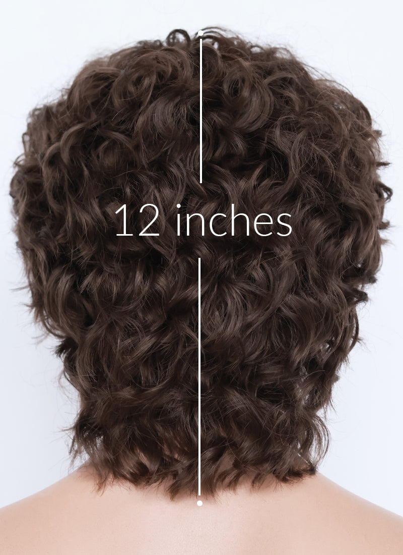 Brunette Curly Mod Lace Front Synthetic Men's Wig LF8074