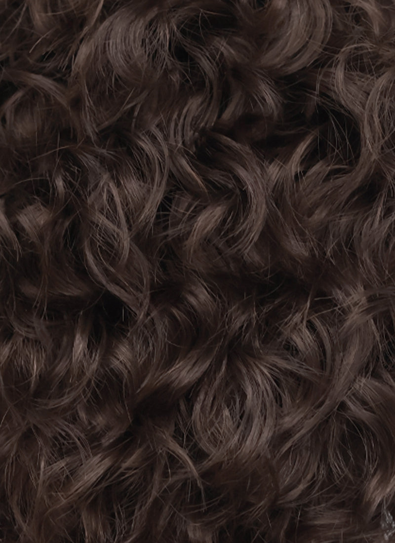 Brunette Curly Mod Lace Front Synthetic Men's Wig LF8074