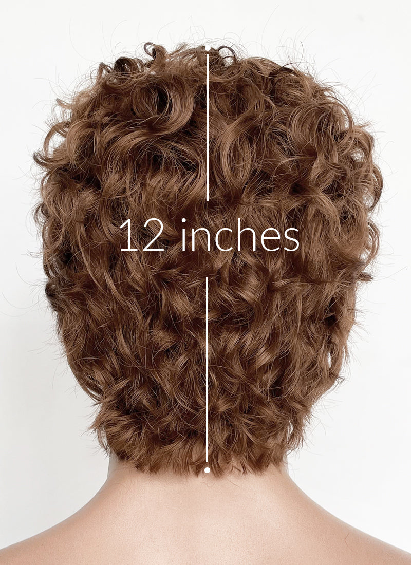 Brown Curly Mod Lace Front Synthetic Men's Wig LF8075