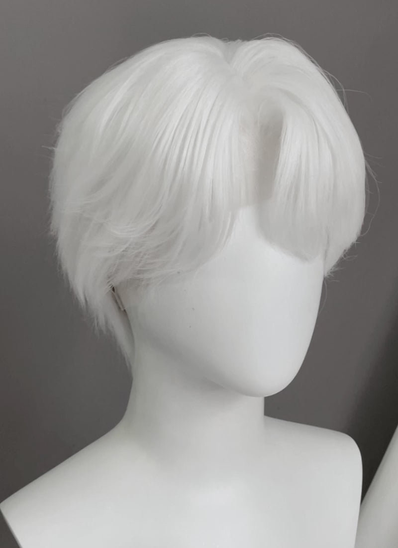 White Straight Lace Front Synthetic Hair Men's Wig LF6135
