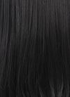 Straight Jet Black Lace Front Synthetic Wig LF002