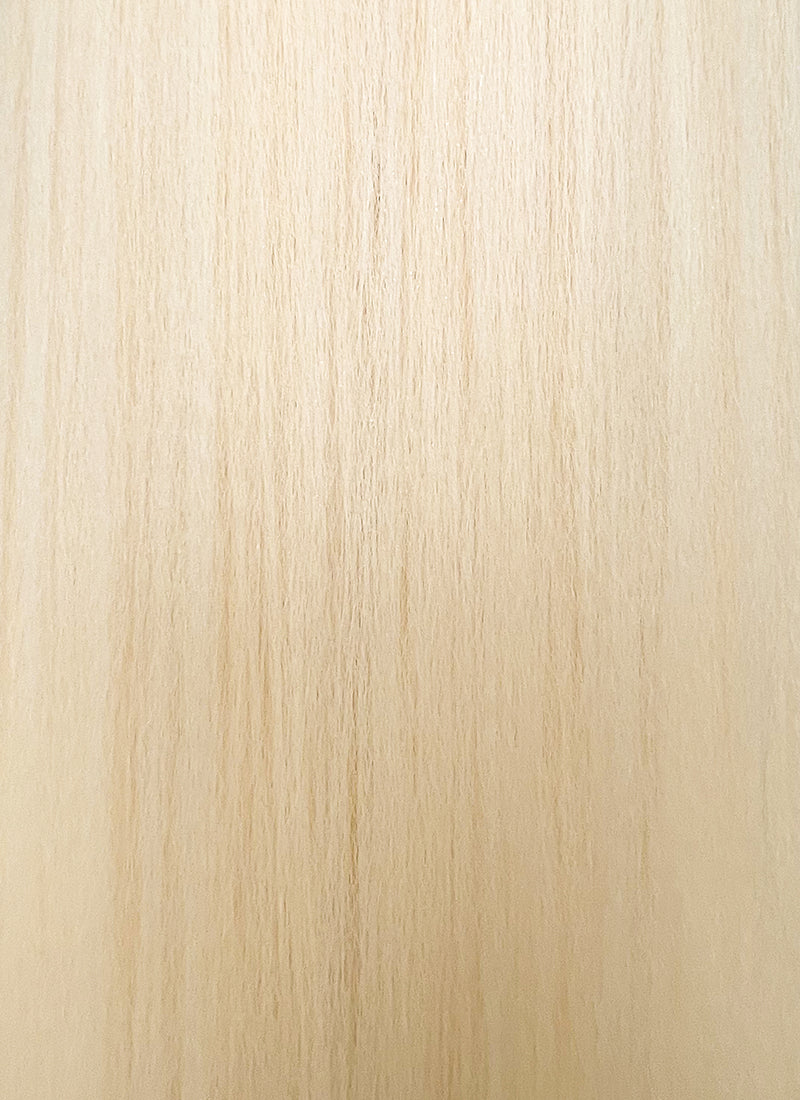 Blonde Yaki Straight Synthetic Hair Wig NS433