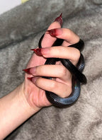 Nude-to-Wine Ombre Cat Claw Sultry Oval Handmade Press-On Nails NF059