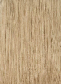 Blonde With Dark Roots Straight Synthetic Wig CSX069