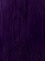 The Apothecary Diaries Jinshi Purple Braided Lace Front Synthetic Men's Wig LF2517