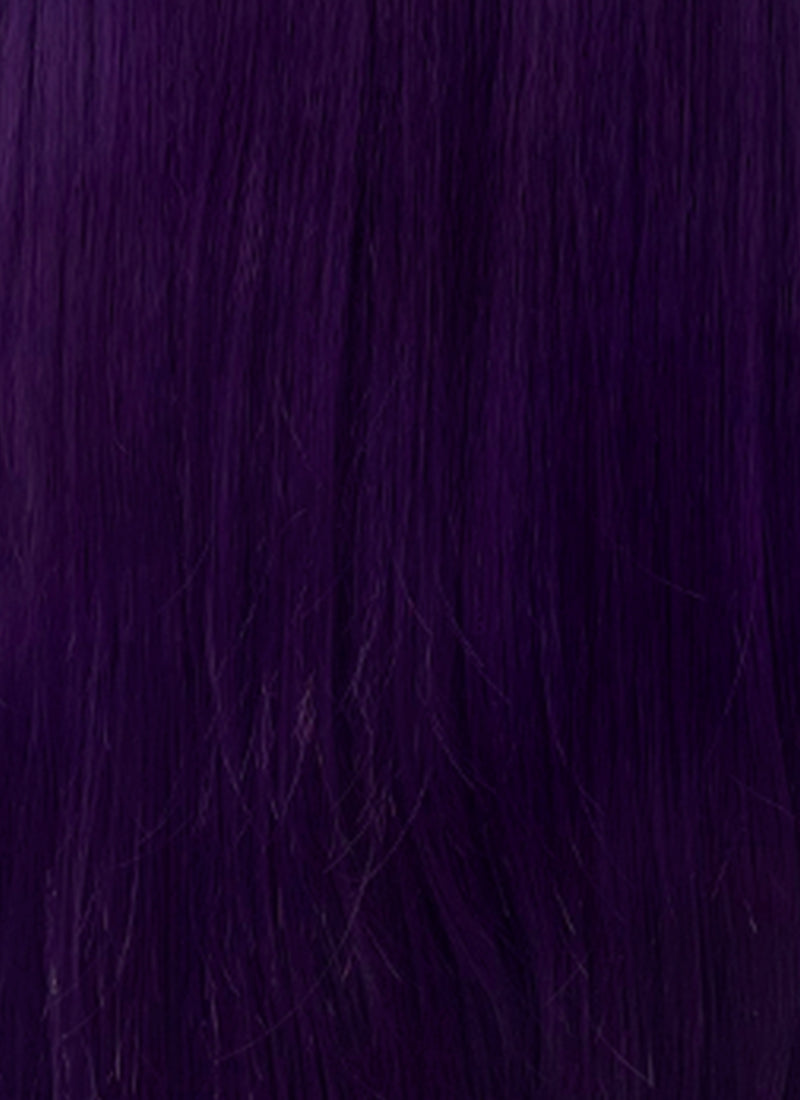 The Apothecary Diaries Jinshi Purple Braided Lace Front Synthetic Men's Wig LF2517