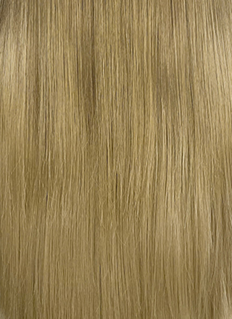 Brown Blonde Ombre Straight Lace Front Synthetic Wig LF3362