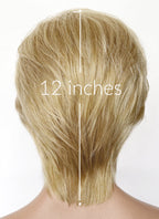 Blonde Straight Lace Front Synthetic Men's Wig LF6148