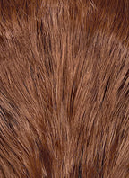 Dispatch Robert Robertson III Mecha Man Brown Straight Lace Front Synthetic Men's Wig LF8089