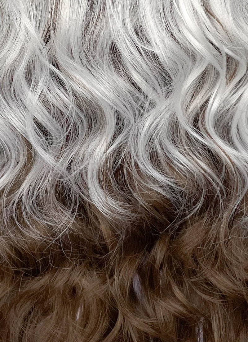 X-Men Rogue Silver White Mixed Brown Wavy Lace Front Synthetic Wig LW4109
