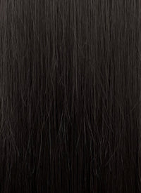 Purple Mixed Black Straight Synthetic Hair Wig NS538