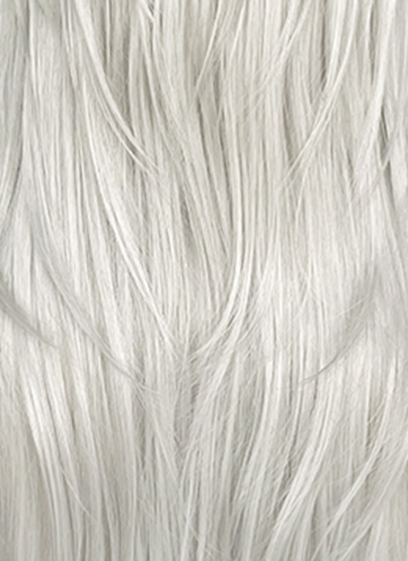 Silver Grey Straight Synthetic Hair Wig NS624