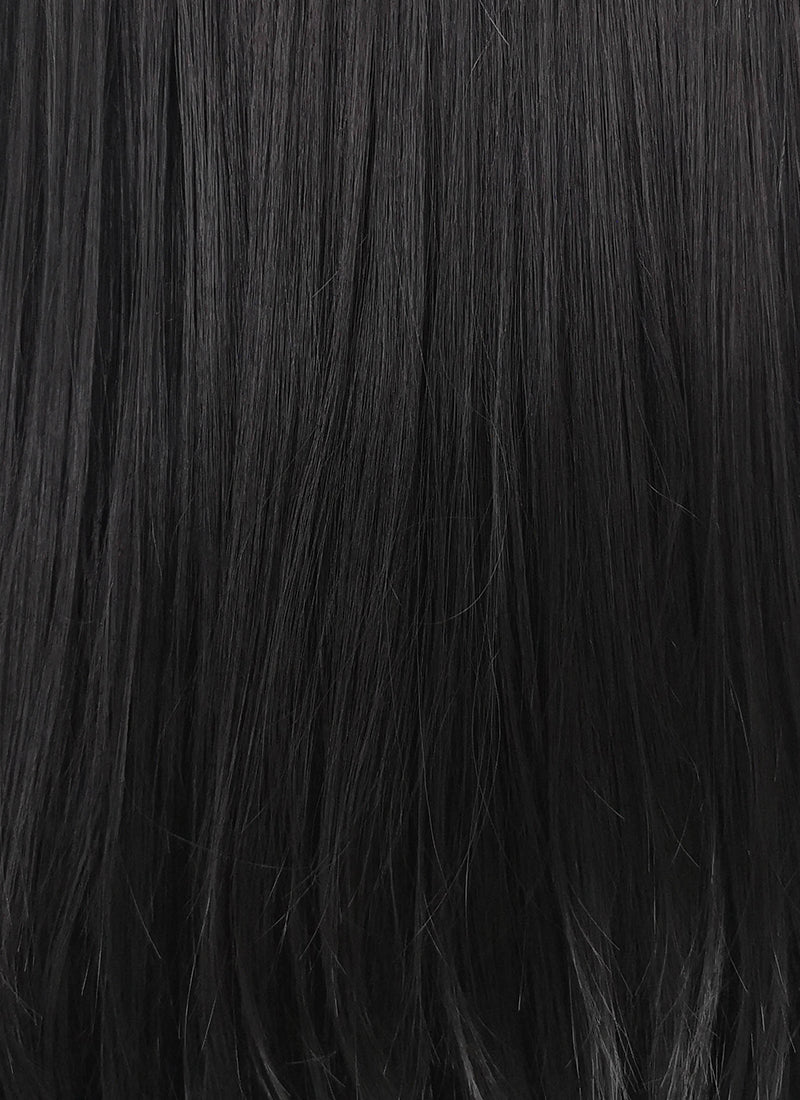 Straight Jet Black Lace Front Synthetic Wig LF002