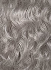 Baldur's Gate 3 Astarion Grey Curly Lace Front Synthetic Men's Wig LF6033