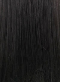 Straight Jet Black Lace Front Synthetic Wig LFB002 - Wig Is Fashion