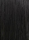 Straight Yaki Jet Black Lace Front Synthetic Wig LF701R - Wig Is Fashion
