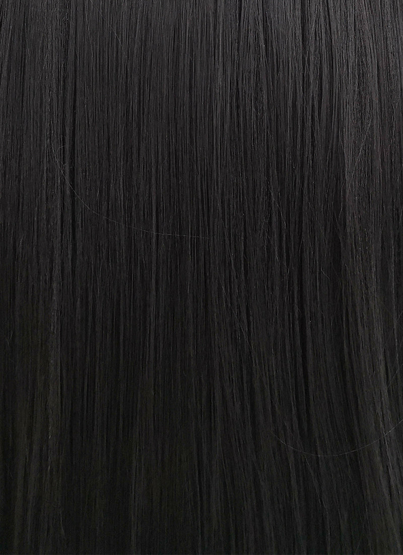 Straight Yaki Jet Black Lace Front Synthetic Wig LF701R - Wig Is Fashion