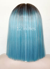 Blue With Dark Roots Straight Bob Synthetic Hair Wig NS487