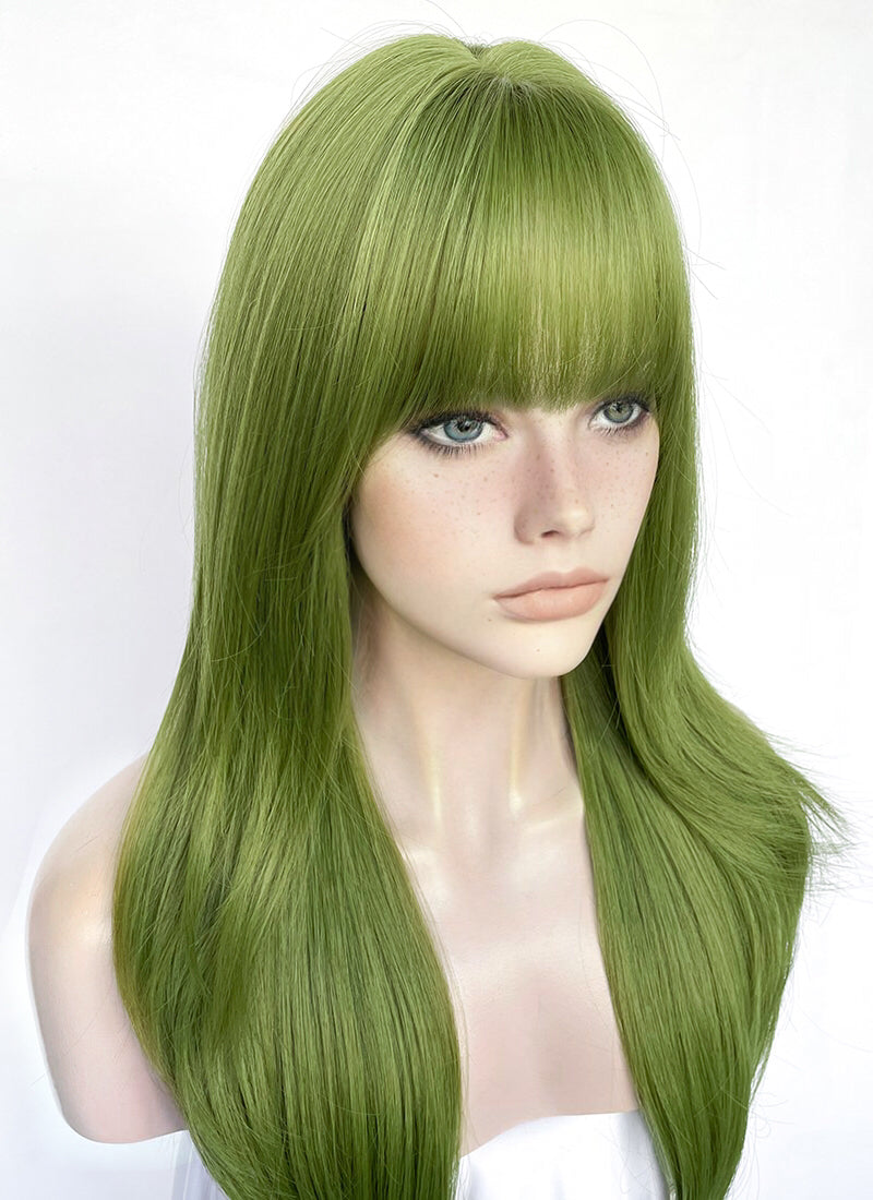 Green Straight Synthetic Hair Wig NS523