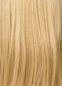 Blonde Straight Synthetic Hair Wig NS532
